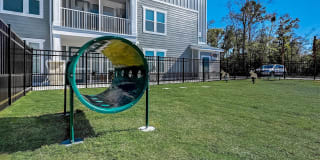 Springs at Flagler Center Gallery 9