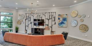 Octave Apartments Gallery 29