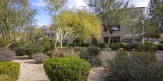 Vintage At Scottsdale Gallery 20