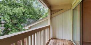 The Pines Gallery 53