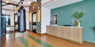 Vermeer Gallery 65