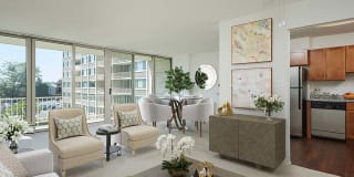 The Aspen Gallery 2
