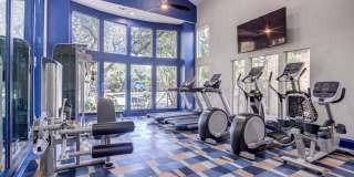 Canyon Resort at Great Hills Apartments Gallery 20