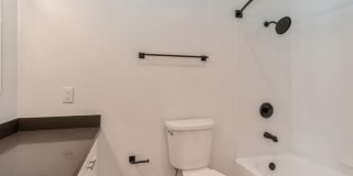 Palmilla Gallery 9