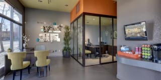 Museum Park Gallery 13