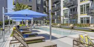 mResidences Olympic & Olive Gallery 17