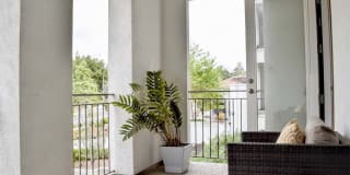 Torrey Gardens Gallery 10