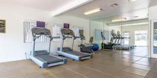 Playa Vista Apartments Gallery 4