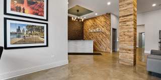 The Shelby Gallery 6