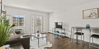 The Lodge Gallery 21