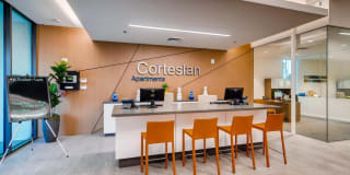 The Cortesian Gallery 34