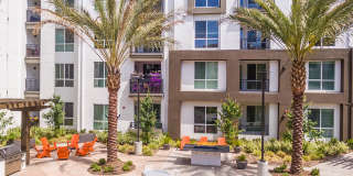 808 West Apartments Gallery 32