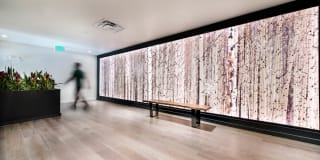 Gunbarrel Center Gallery 8