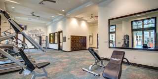 The Travis Gallery 64