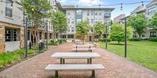 Legacy Village Apartment Homes Gallery 29