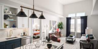 The Margo Gallery 25