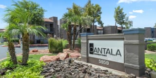 Cantala Apartments Gallery 1