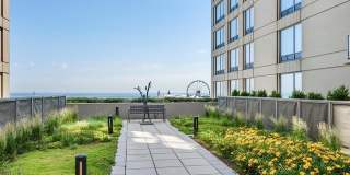 600 N Lake Shore Drive Gallery 24