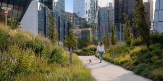 Waterline Square Gallery 12