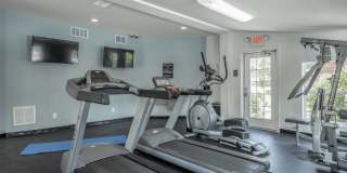 Preakness Gallery 3