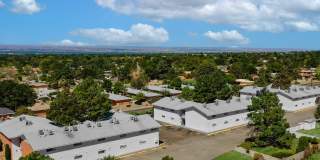 Pine Lane Apartments Gallery 11