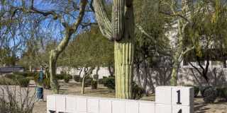 Vintage At Scottsdale Gallery 35