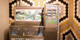 Trovita Rio Gallery 23