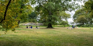 Parc Cameron Gallery 28