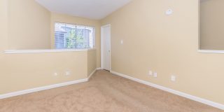 Adobe Springs Gallery 17