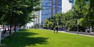 Allied Harbor Point Gallery 46