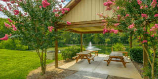 Preakness Gallery 8