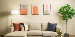 Merino Gallery 47