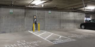 Almaden Lake Village Gallery 36