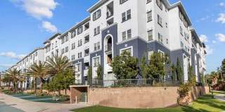 Student Housing - Iconic on Alvarado Gallery 33