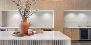 Adara Gallery 15