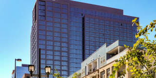 Jasper Towers Gallery 41