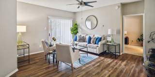 Collin Creek Gallery 24