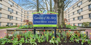 Gardens of Mt. Airy Gallery 13