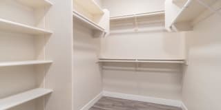 Symphony Gallery 11