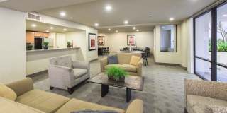 Colonnade Gallery 4