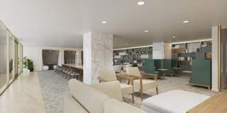 Accolade Gallery 9