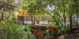 Canyon Resort at Great Hills Apartments Gallery 26
