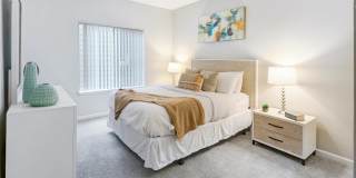 Almaden Lake Village Gallery 12