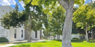 Mountain Vista Gallery 8