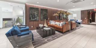 LVL 29 Gallery 45