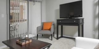 Mission Trails Gallery 5