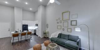 The Travis Gallery 7