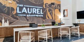 The Laurel Apartments Gallery 14