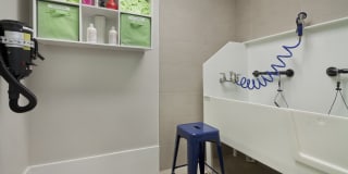 Marshall Park Apartments & Townhomes Raleigh Gallery 16