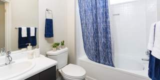 TAVA Waters Apartments Gallery 16